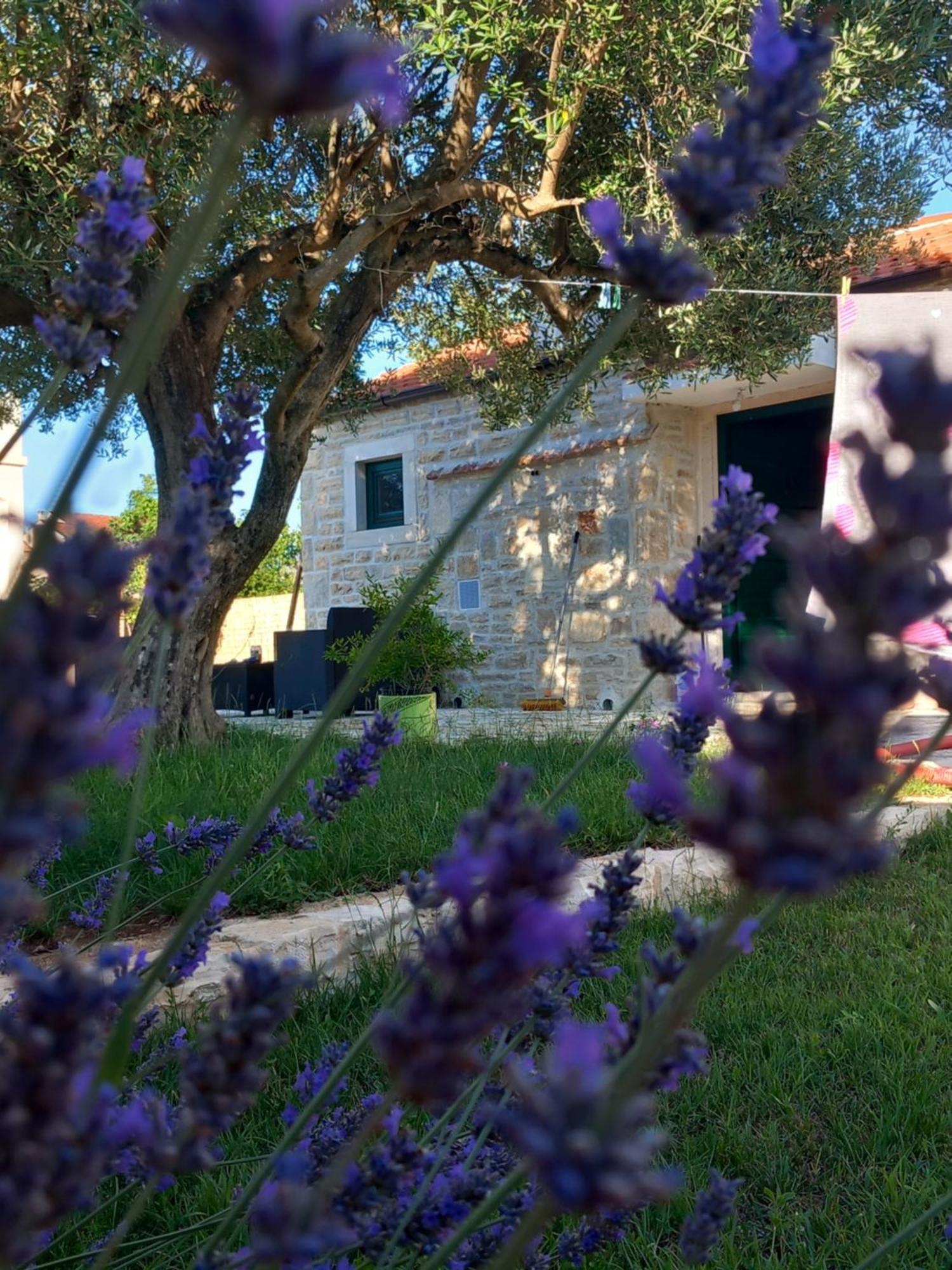 Villa Leggiero Benkovac Esterno foto